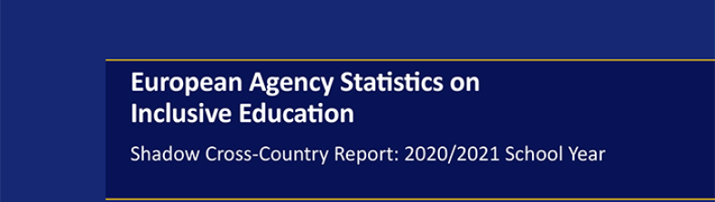 Front cover of the EASIE Shadow Cross-County Report