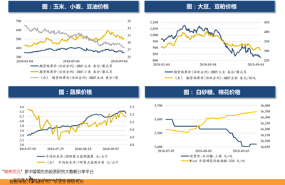 2021年8月新股申購一覽與計(jì)算機(jī)設(shè)備租賃行業(yè)前瞻